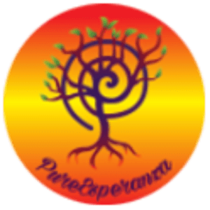 Collaborator Subscription