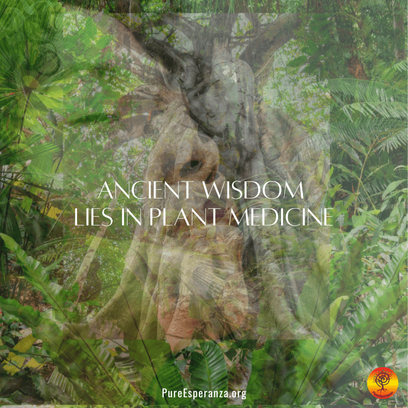 plant medicine, sacred science, expanded awarenesss, neuroscience consciosuness, ancient wisdom,ntegrative medicine, healing consciousness